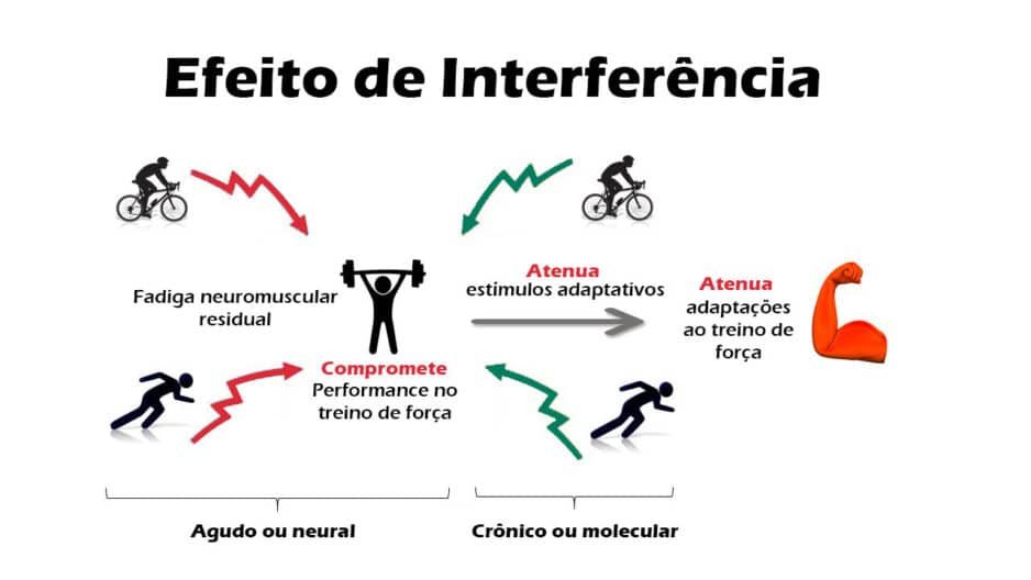 Treinamento Concorrente e o Fenômeno de Interferência