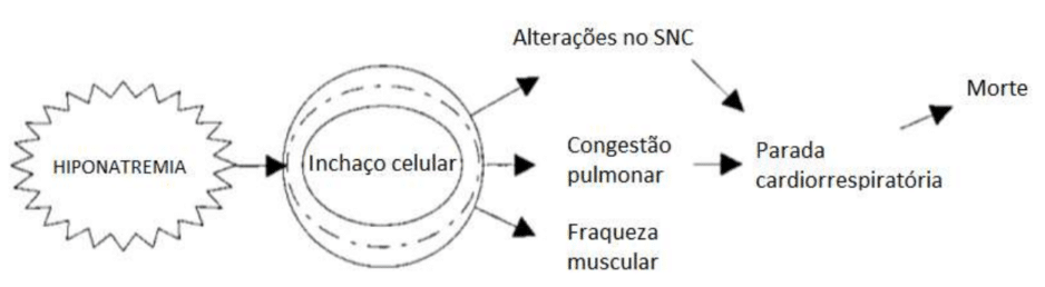 A Ameaça Oculta da Hiponatremia